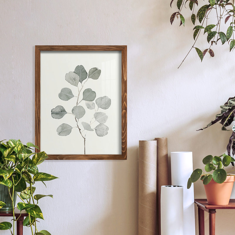 «Burritt Delicate Sage Botanical I», encadré sur papier, H 15 po x l 12 po x P 1 po, Noyer