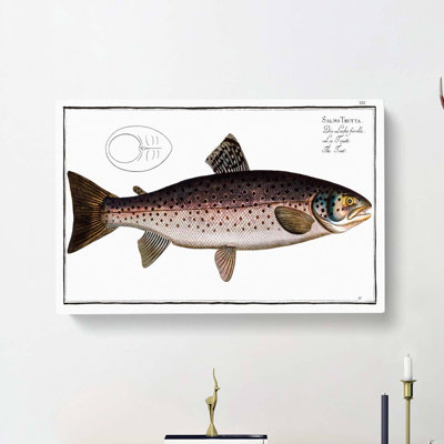 Brown Trout Fish by M.E. Bloch - Wrapped Canvas
