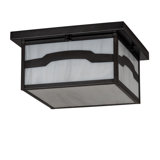 Ozie 2 - Light Flush Mount