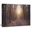 «Forest Pathway View at Sunset», reproduction de photo sur toile tendue-19240529