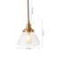 1 - Light Brass Pendant