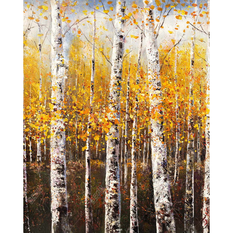 Birches By Sunny Day Print On Canvas, H 60 po x l 48 po