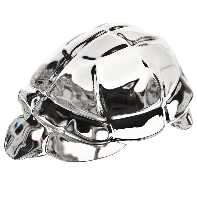 Noah Turtle Gift Box