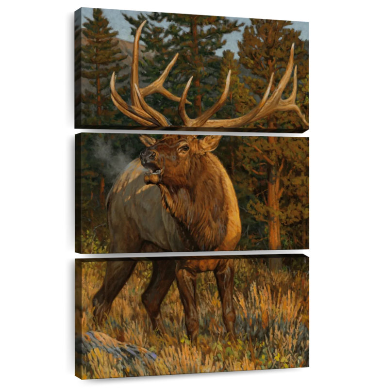 Brampt Fall Challenge, 74" H x 48" W