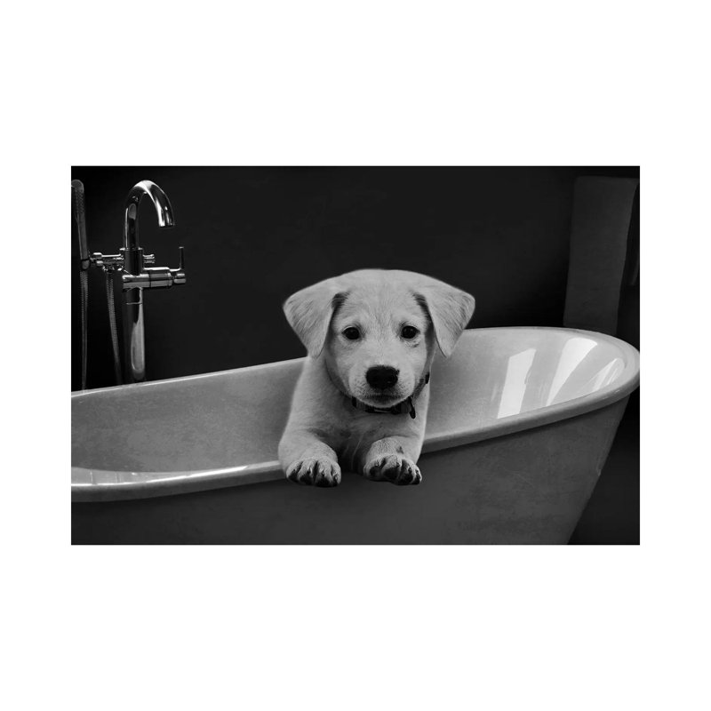 Bathroom Friend 1 by Marcus Prime - Wrapped Canvas Print, 101.6 cm H x 66.04 cm W x 1.91 cm D