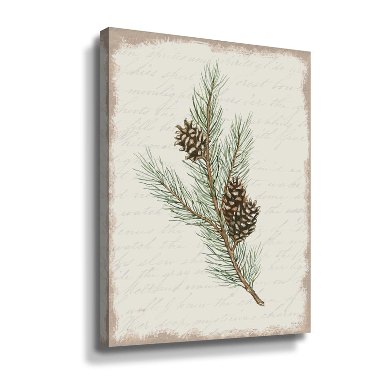 Pine Cone Botanical II Gallery, Toile tendue, H 32 po x l 24 po