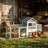 Pet Cage