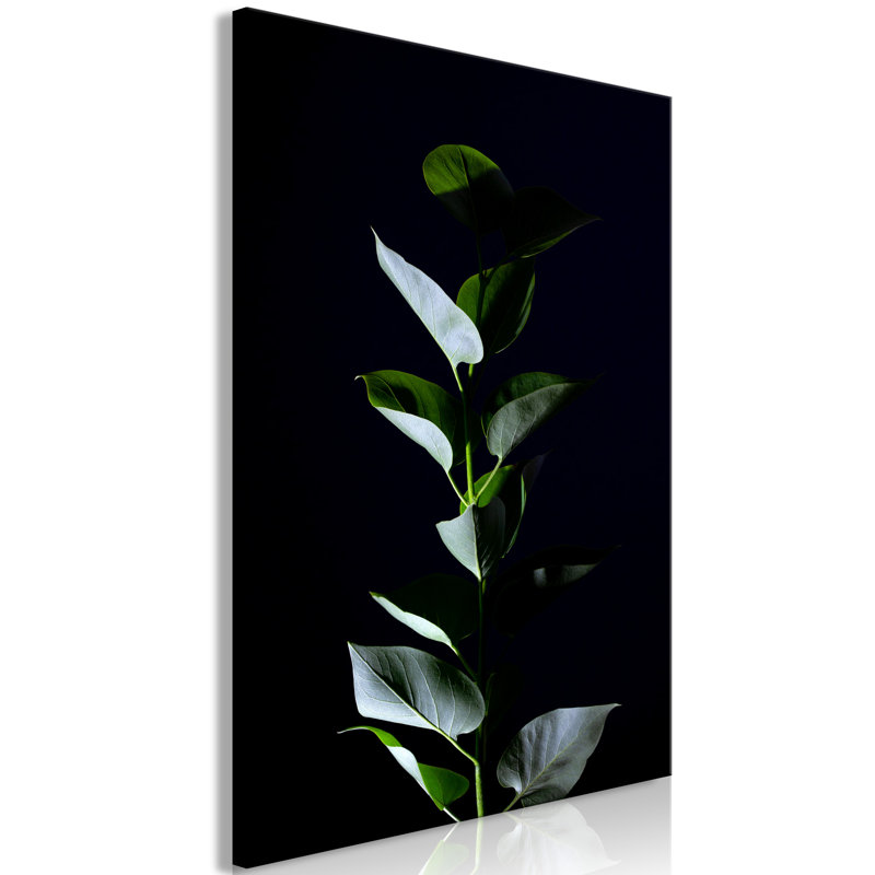 No Frame Print on Canvas, 40cm H x 60cm W