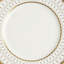 Renaissance Gray 10.7in Dinner Plate