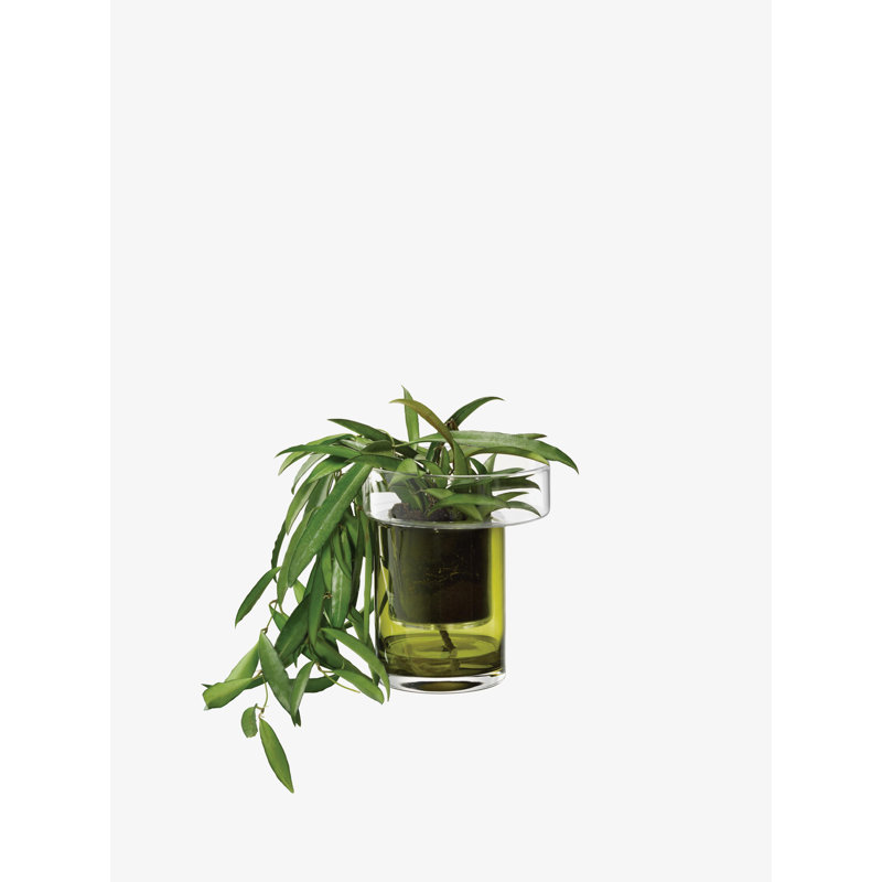 Balcony Handmade Glass Planter, 7.5" H x 6.25" W x 6.25" D