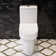 Compact ADA  Toilet  with High-Efficiency Dual Flush, Comfort Height with Upgraded Ultra-Thin Tank And Lid(Seat Included)