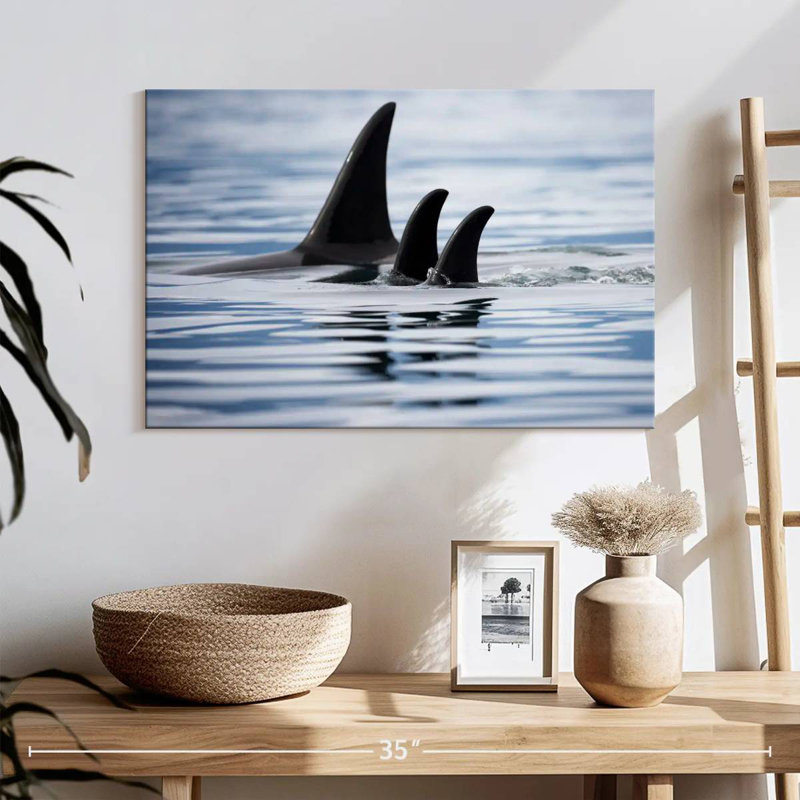 Brampt Killer Whale Fins