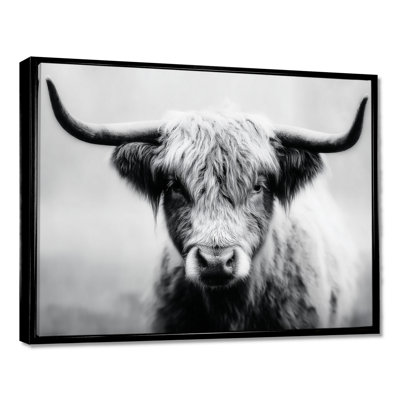 Highland Cow, photographie en Écosse, reproduction d'art sur toile encadrée