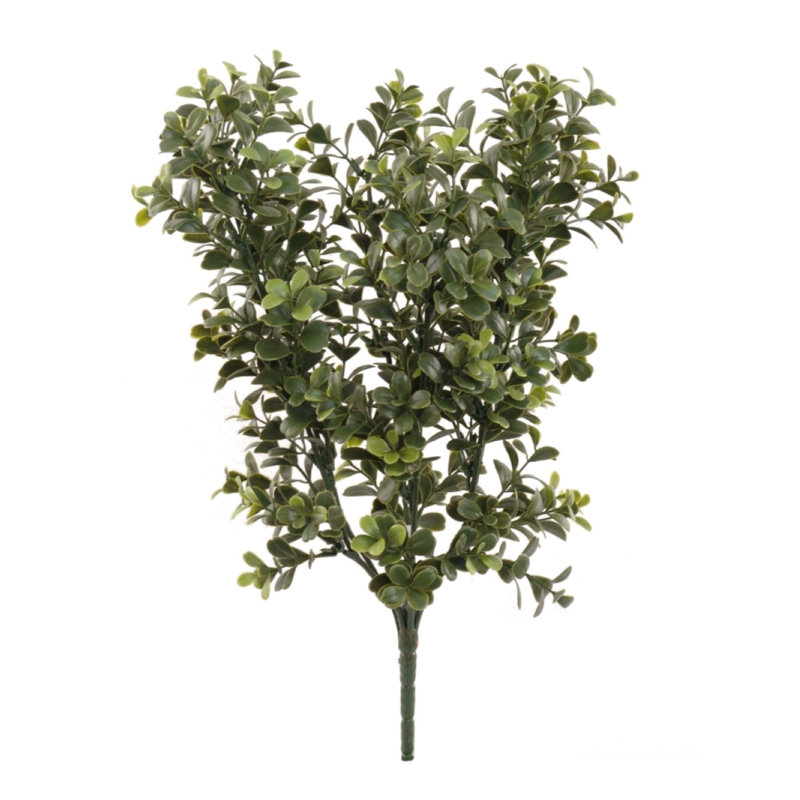 17" Tall Plant