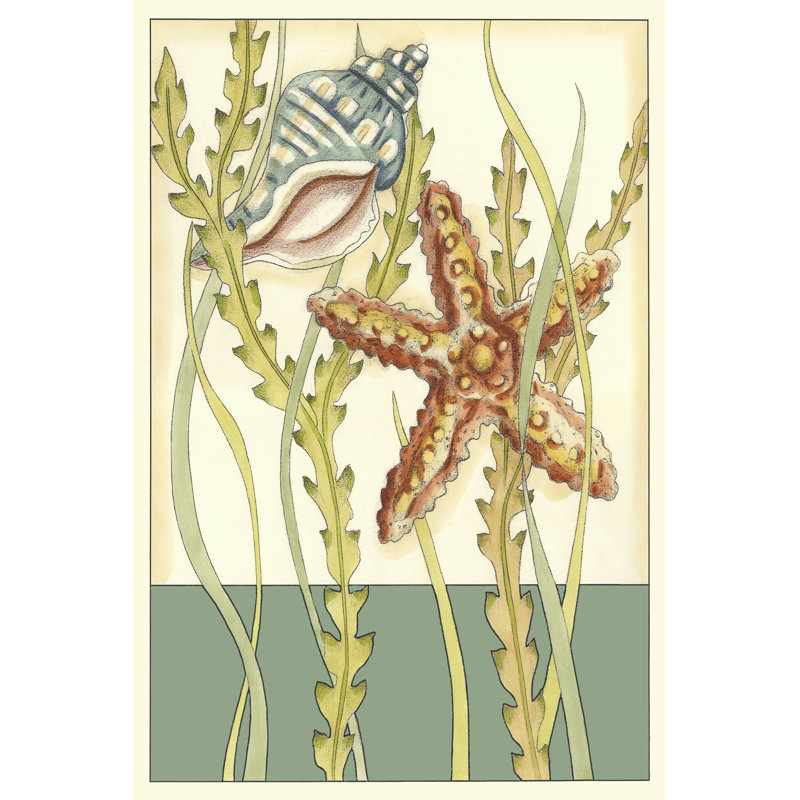 Shell Season I by Chariklia Zarris - Wrapped Canvas Painting, 46cm H x 30cm W x 3.8cm D