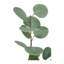 48" Artificial Eucalyptus Branch Stems