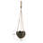 Cidni Hanging Planter