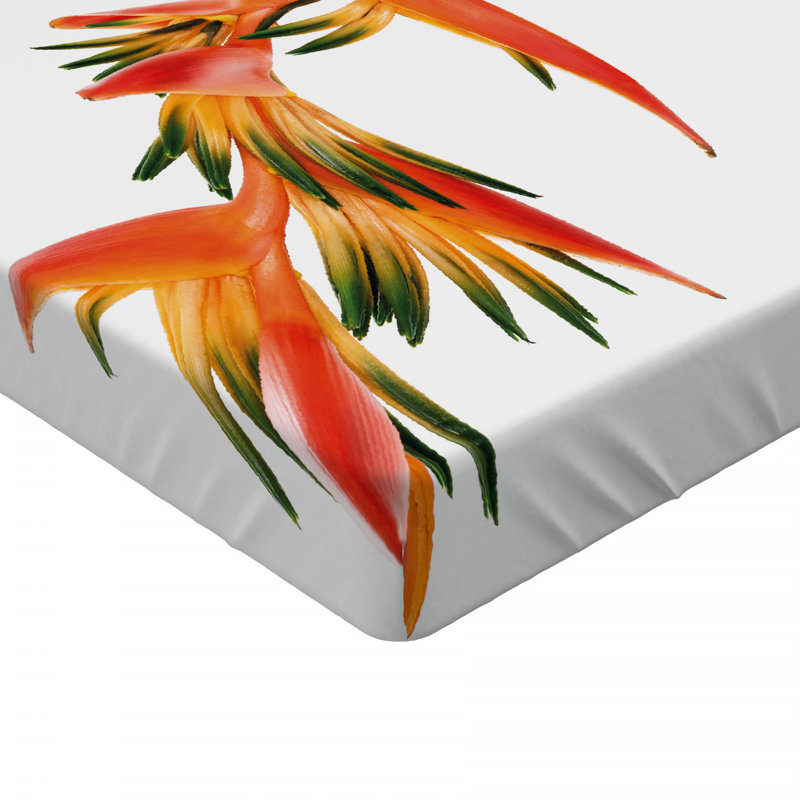 Microfiber Floral Fitted Sheet, Full Fitted Sheet