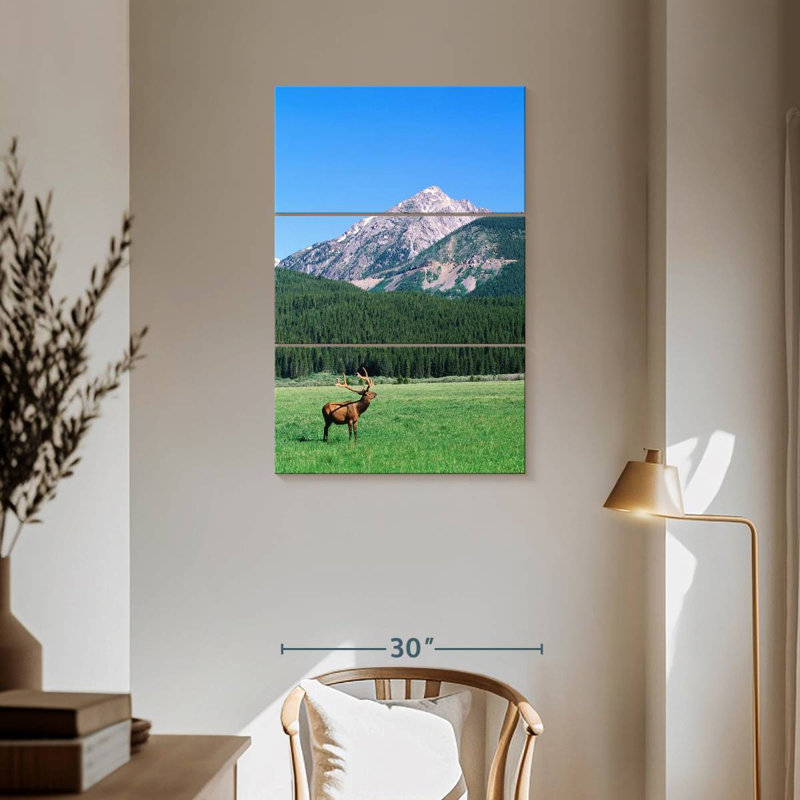 Brampt Coyote Valley Elk, 57" H x 36" W