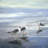 Three gulls - 32"x32" art on canvas