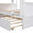 Devante Full Over Full Standard Bunk Bed with Trundle-1843766911