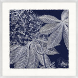 Transitional Leaf Composition On Navy 1 Print