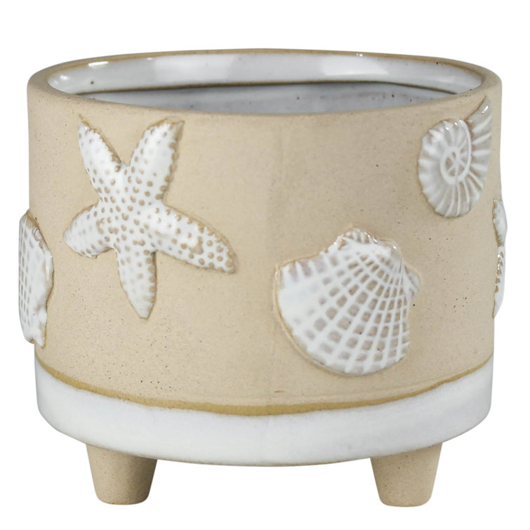 Claybarn Grotto Seashell Stoneware Pot Planter & Reviews