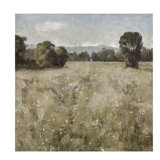 Serene Landscape II Print by Paul Duncan