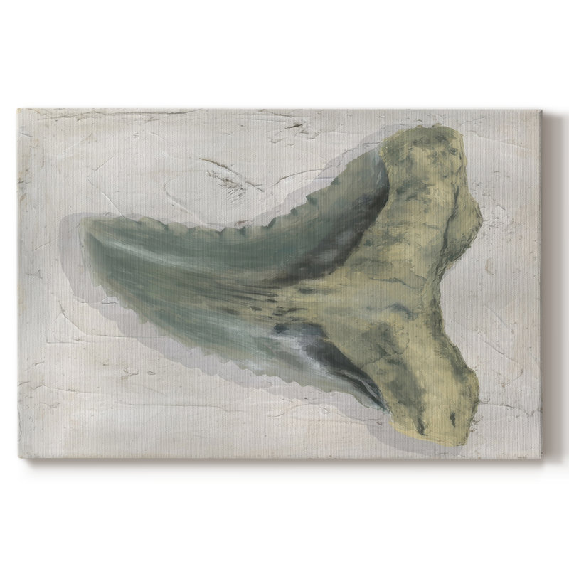 Aquarelle Sharks Tooth IV -Galery Wraraped Cavas, 8 x 12
