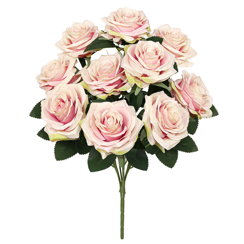 Grand rosier Jaafer Deluxe, Ivoire rose