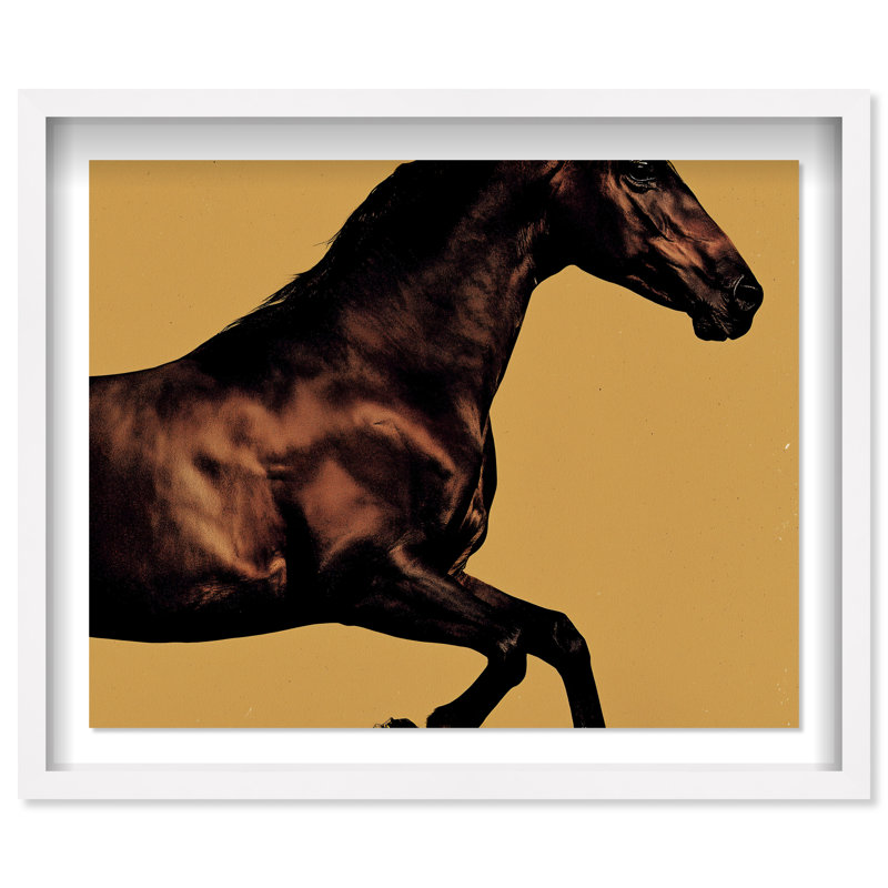 Hue Equine II Framed Graphic Art, 31.5"H x 37.5"W, White Shadowbox
