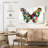 Butterfly Colors-107671711