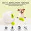 Mini-lance-balles pour chien Agility Équipement Interactives