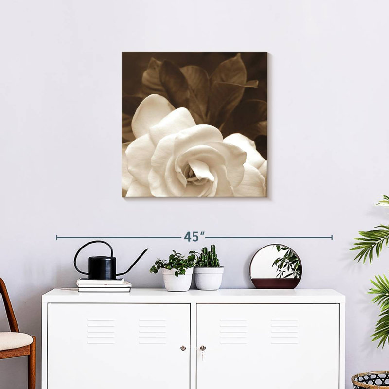 Jardin Harnek Gardenia, H 24 po x l 24 po