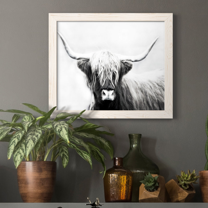 Highland Longhorn - Cadre flottant, reproduction de photo sur toile, Toile blanche encadrée, H 20 po x l 17 po x P 1,5 po