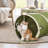 Collapsible Cat Tunnel Cactus-Shaped-567124877