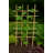 Wood Trellis-1383019950