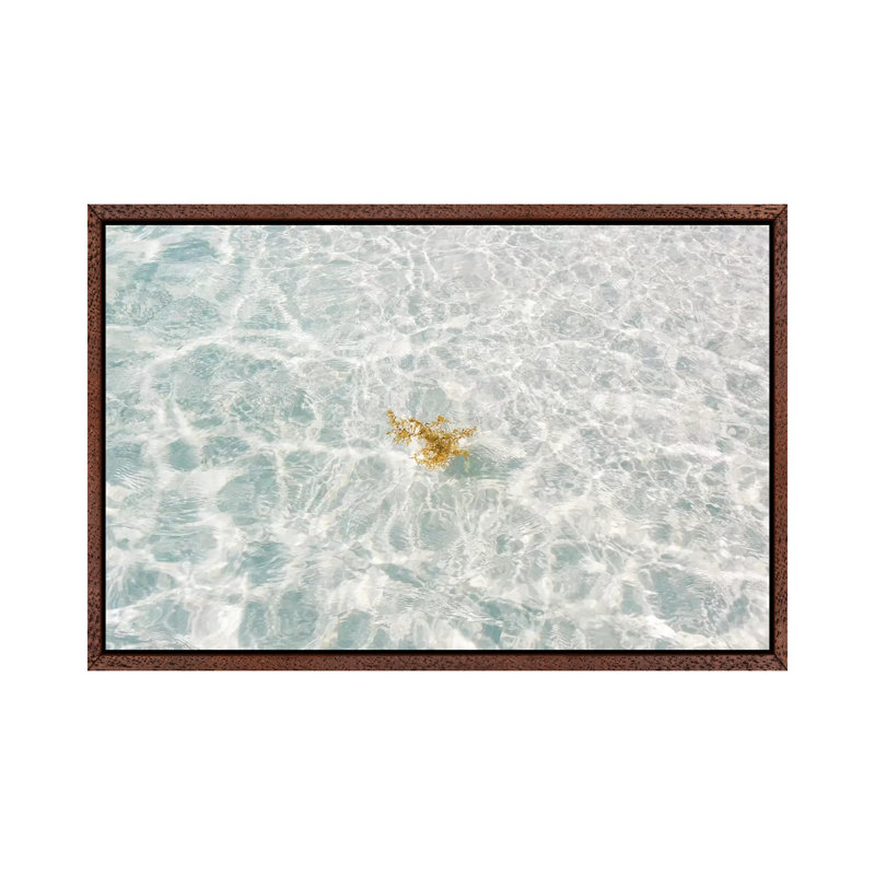 Florida White Sand by Bethany Young - Print on Canvas, 66.04cm H x 101.6cm W x 3.81cm D, Classic Brown Wood Framed