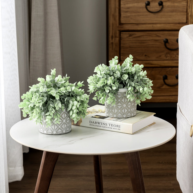 Ensemble de 2 plantes artificielles en eucalyptus en pots de ciment