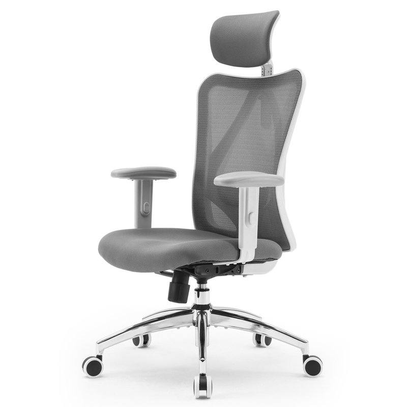 Ergonomic Mesh Office Chair with Adjustable Lumbar Support and Padded Armrests for 300lbs, Light Gray