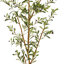 Olive artificielle 77 po en pot