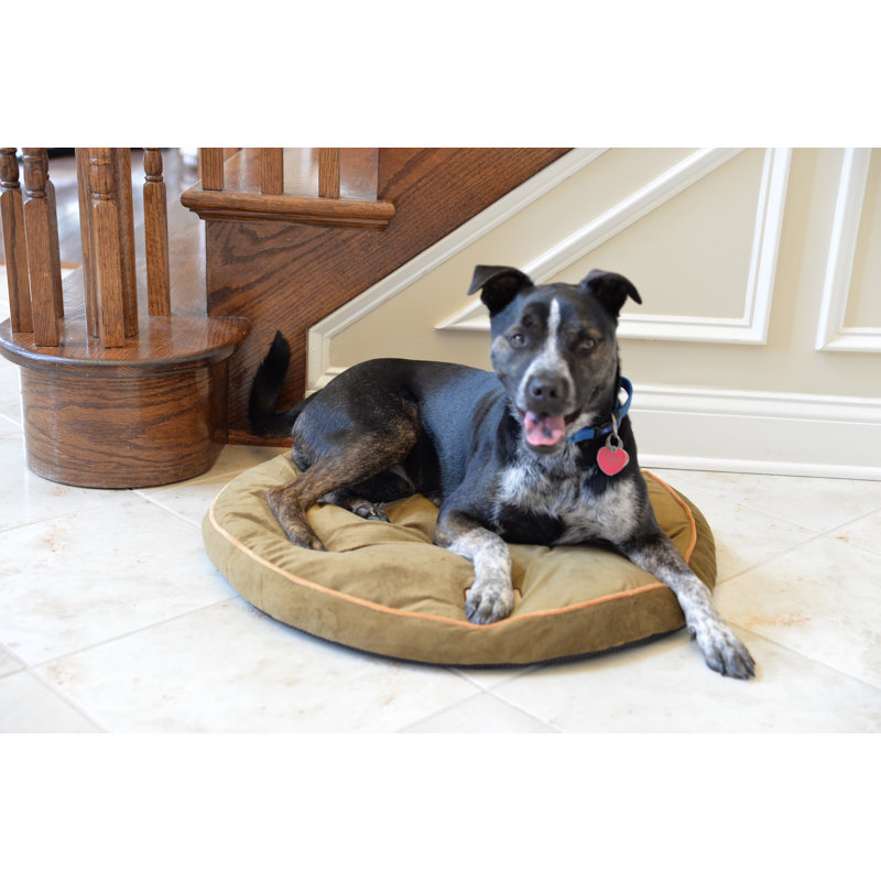 Small Sage Green Velvet Waterproof Outdoor Pet Bed