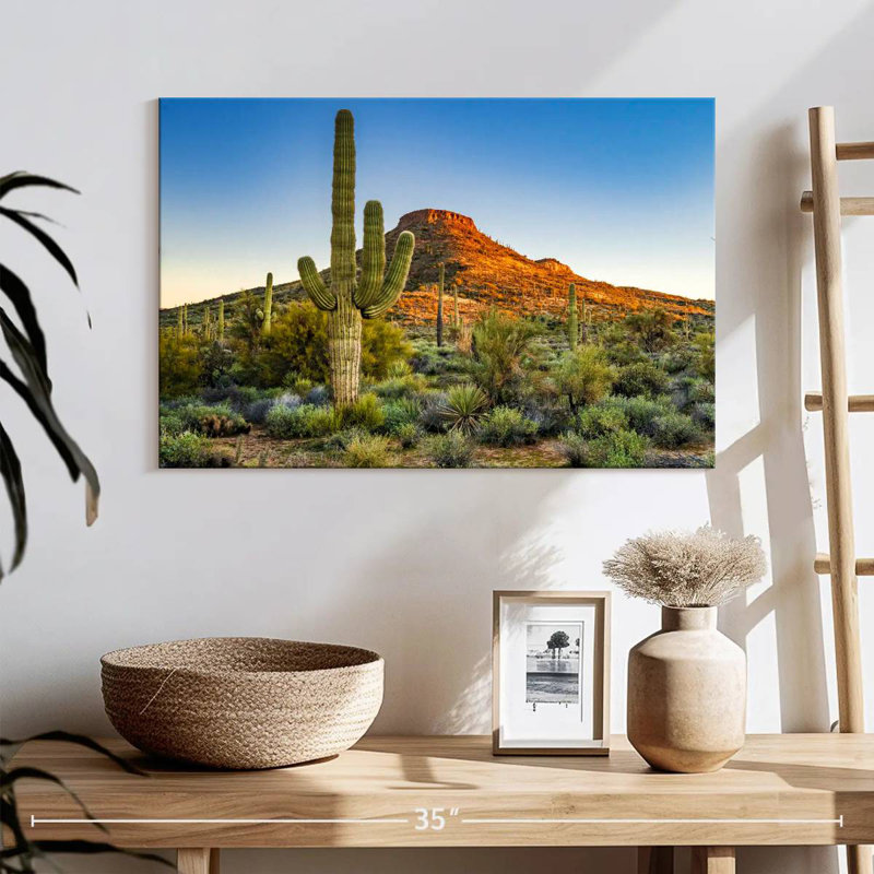 Désert de Sonoran, H 16 po x l 24 po