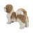 Standing Shih Tzu