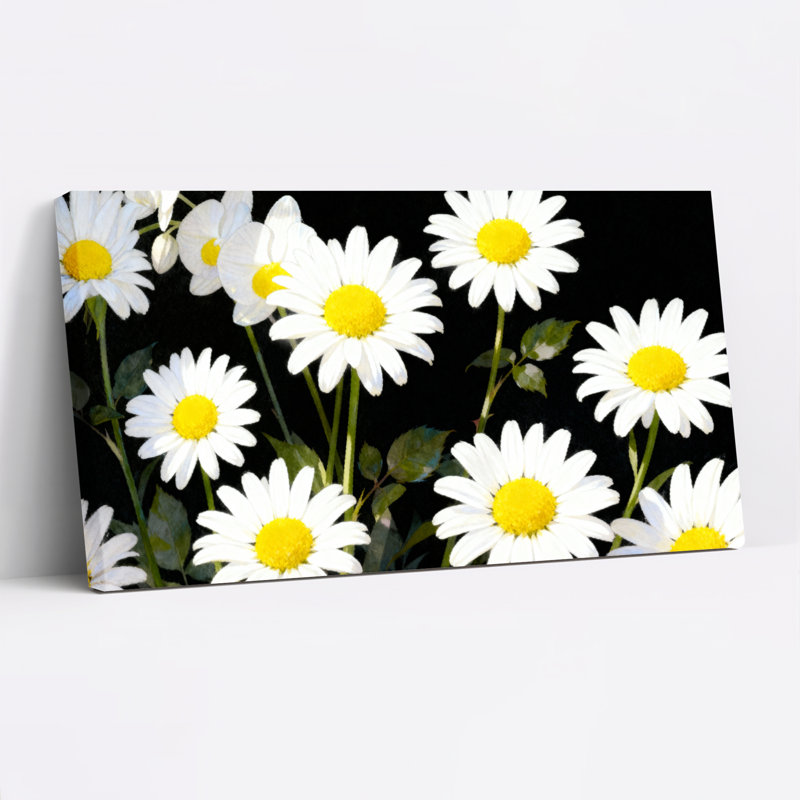 Fleurs de marguerite sur fond noir, reproduction d'art sur toile tendue sur toile, ensemble de 1, H 28 po x l 58 po