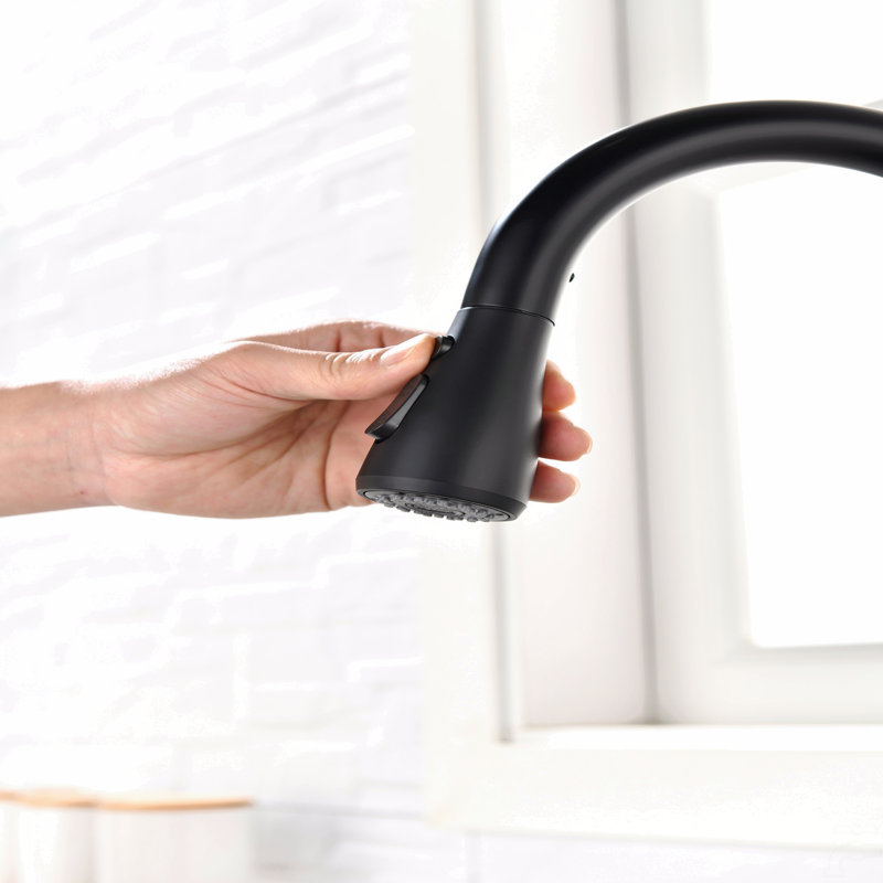 Robinet de cuisine avec douchette extractible