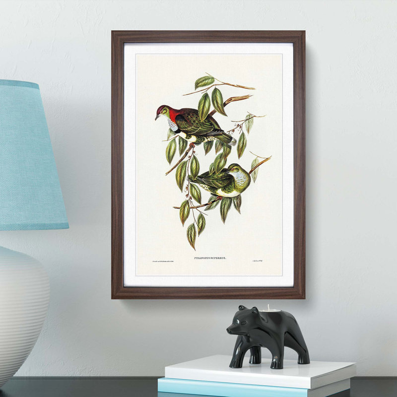 Superb Fruit Pigeons by Elizabeth Gould - Picture Frame Art Prints, Walnut Framed, 36cm H x 27cm W x 2cm D