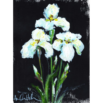 " Contrasting Irises " by Amanda Hilburn