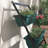 4-tier vertical garden planter with self-draining design-1537305001