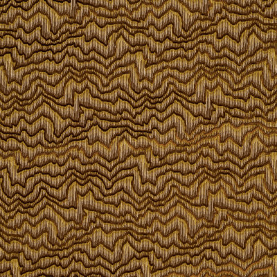 Zambezi Velvet Fabric